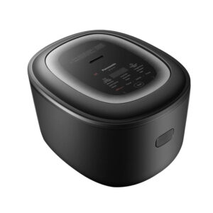 panasonic sr hl151kra 2